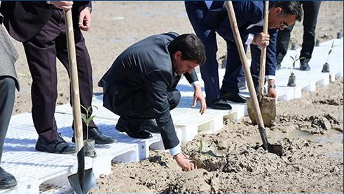تقدیر از هلدینگ پتروشیمی مارون بهخاطر احیای محیط زیست تقدیر از هلدینگ پتروشیمی مارون بهخاطر احیای محیط زیست
