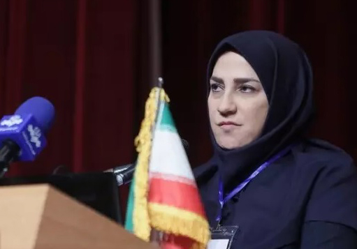 تشریح اهداف و برنامه‌های «پتروتک» توسط دبیر همایش