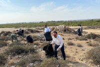 حضور کارکنان نفت و گاز پارس در پاکسازی پارک ملی نایبند حضور کارکنان نفت و گاز پارس در پاکسازی پارک ملی نایبند