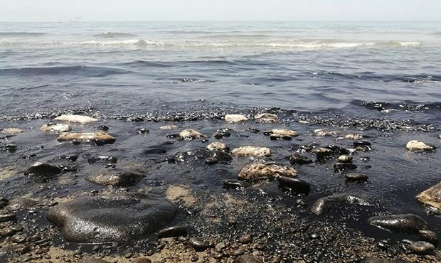 منشأ آلودگی نفتی لنگرگاه خارجی بندر بوشهر معلوم نیست