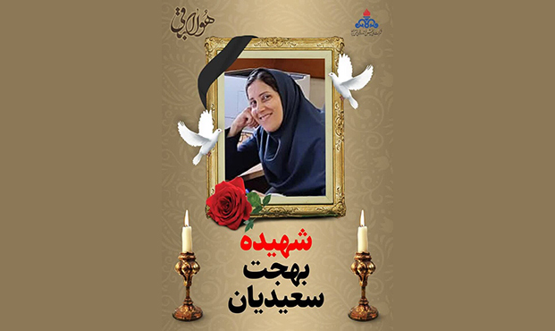 کارشناس سامانۀ هوشمند سوخت به شهادت رسید