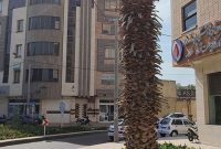 پرداخت مبالغ ۱۱ هزار نفر از متقاضیان علی‌الحساب مستمری