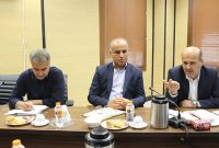 نشست کارگروه سوخت پدافند غیرعامل در بوشهر برگزار شد
