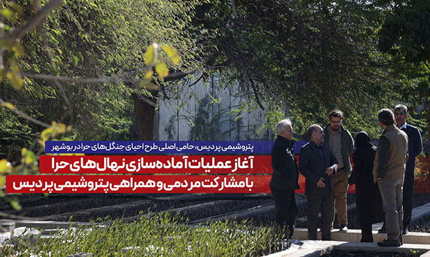 عملیات آماده‌سازی نهال‌های حرا با مشارکت مردم کلید خورد