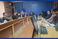 دوگانه‌سوز شدن ۲۰ درصد از نانوایی‌های استان ایلام