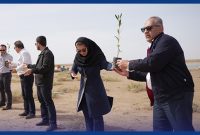 توسعۀ جنگل‌های حرا با عزم پتروشیمی‌ها